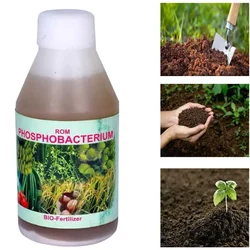 ROM 1 liter Phosphobacterium | Liquid Bio Fertilizer